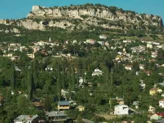 Çamlıyayla