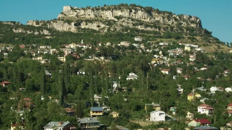 Çamlıyayla