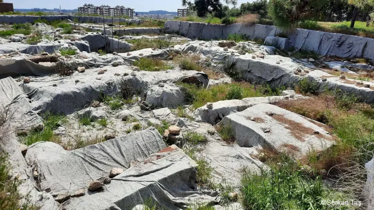 Gözlükule
